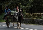 Parc National de Killarney (61)